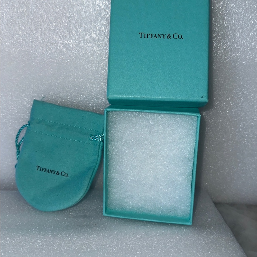 Tiffany & Co. gift box and pouch